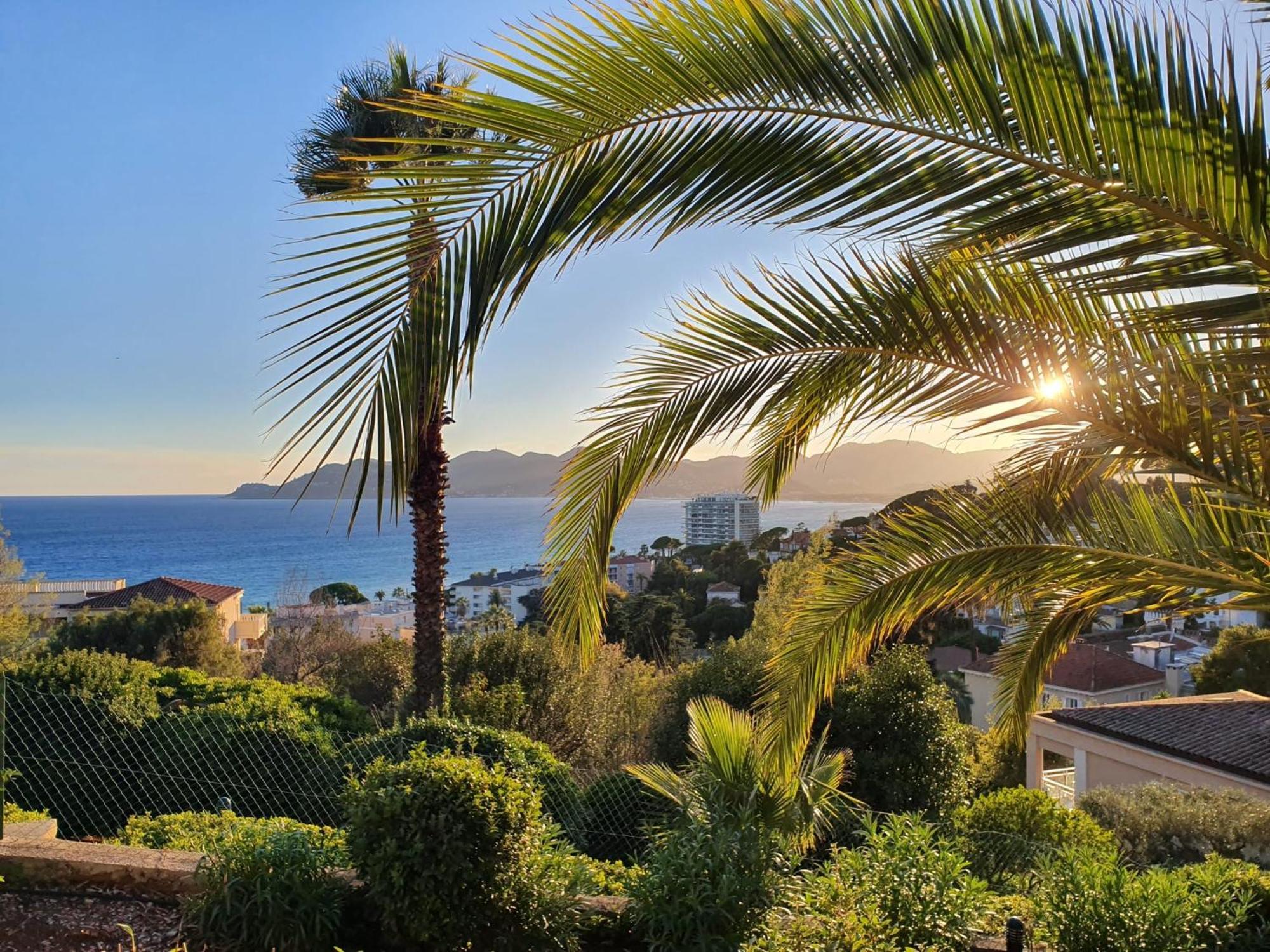 Superbe Appartement Une Chambre Vue Mer Piscine Tennis Cannes Zewnętrze zdjęcie